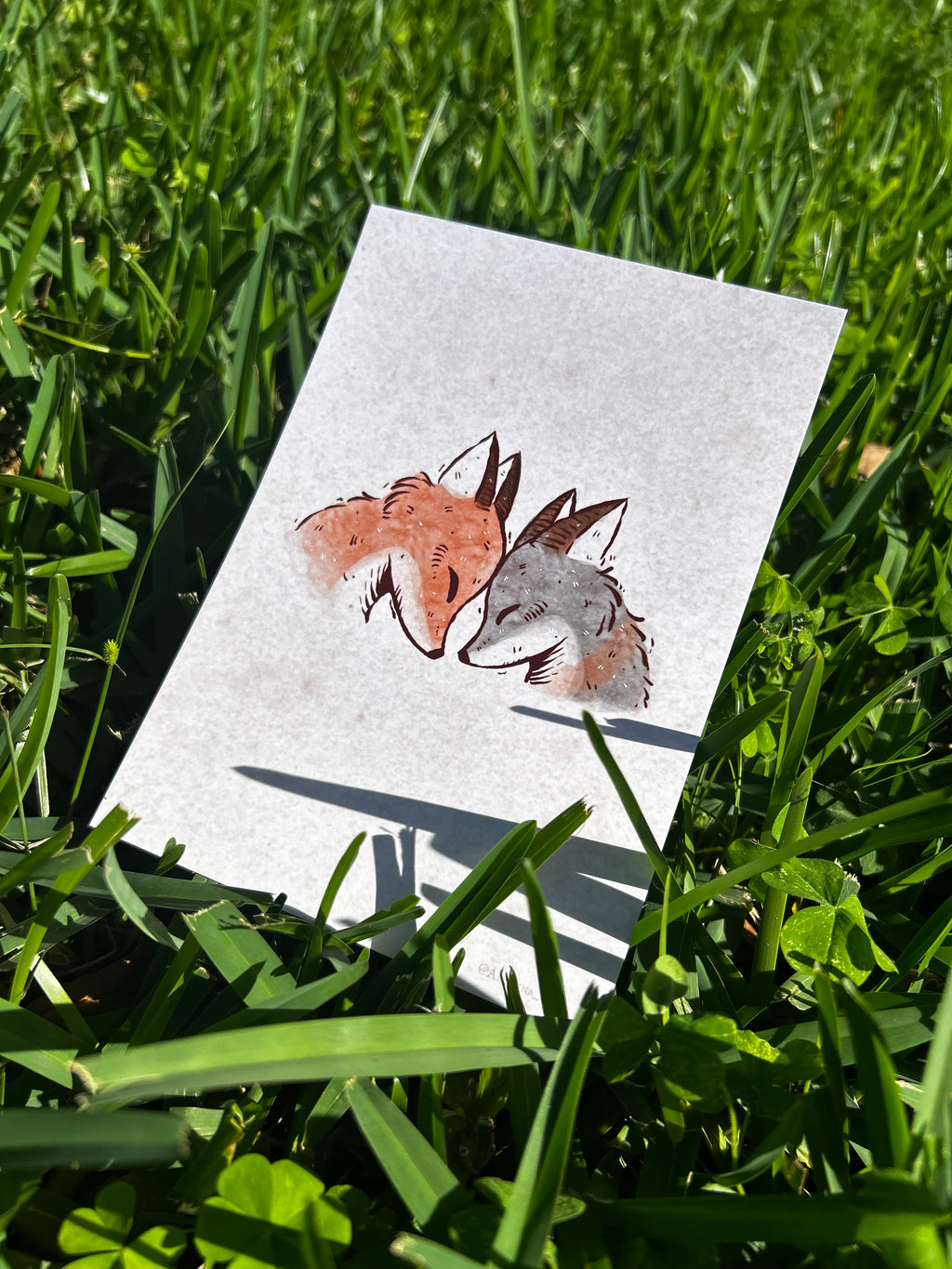 Bonk Print