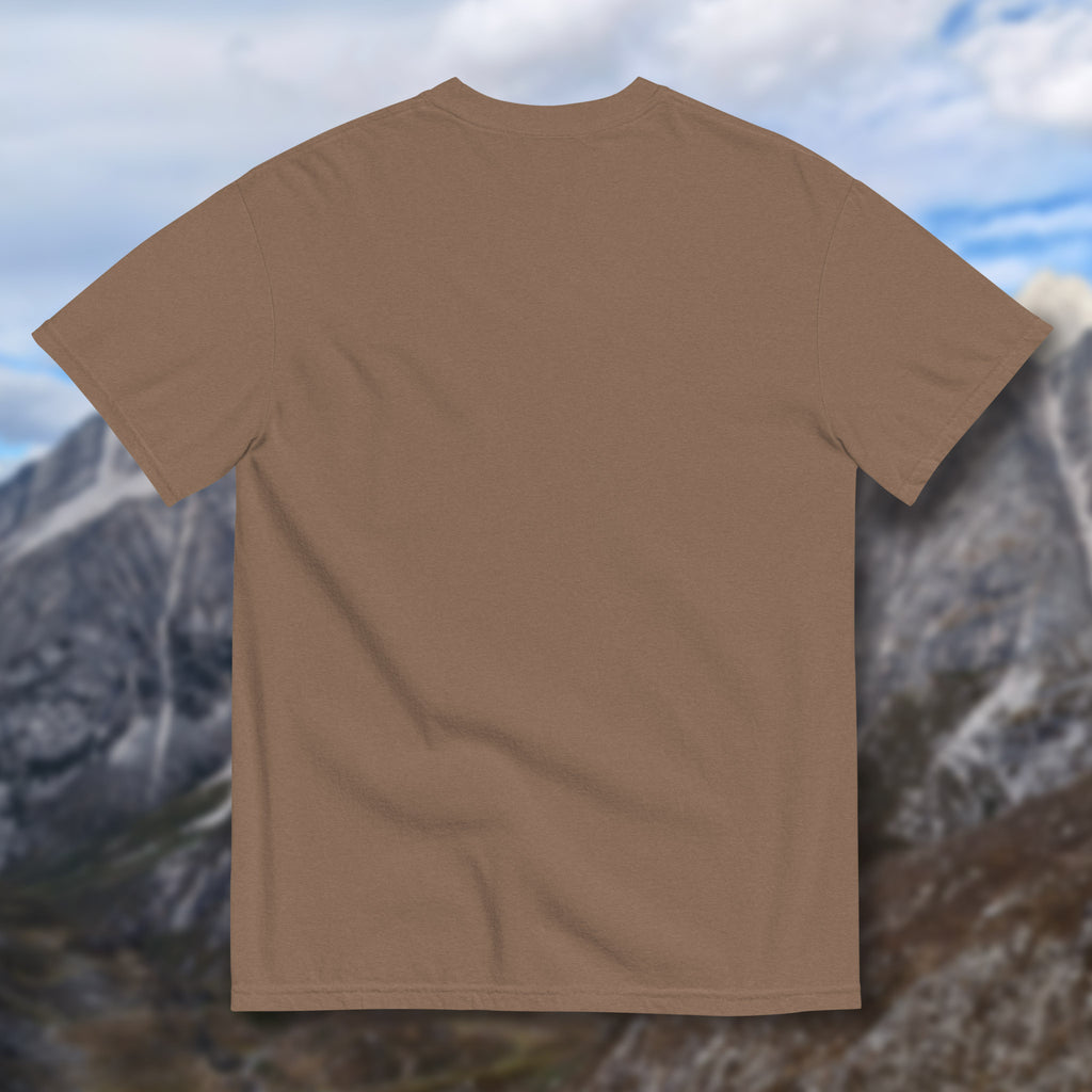 Can I Pet That Smaug? Shirt