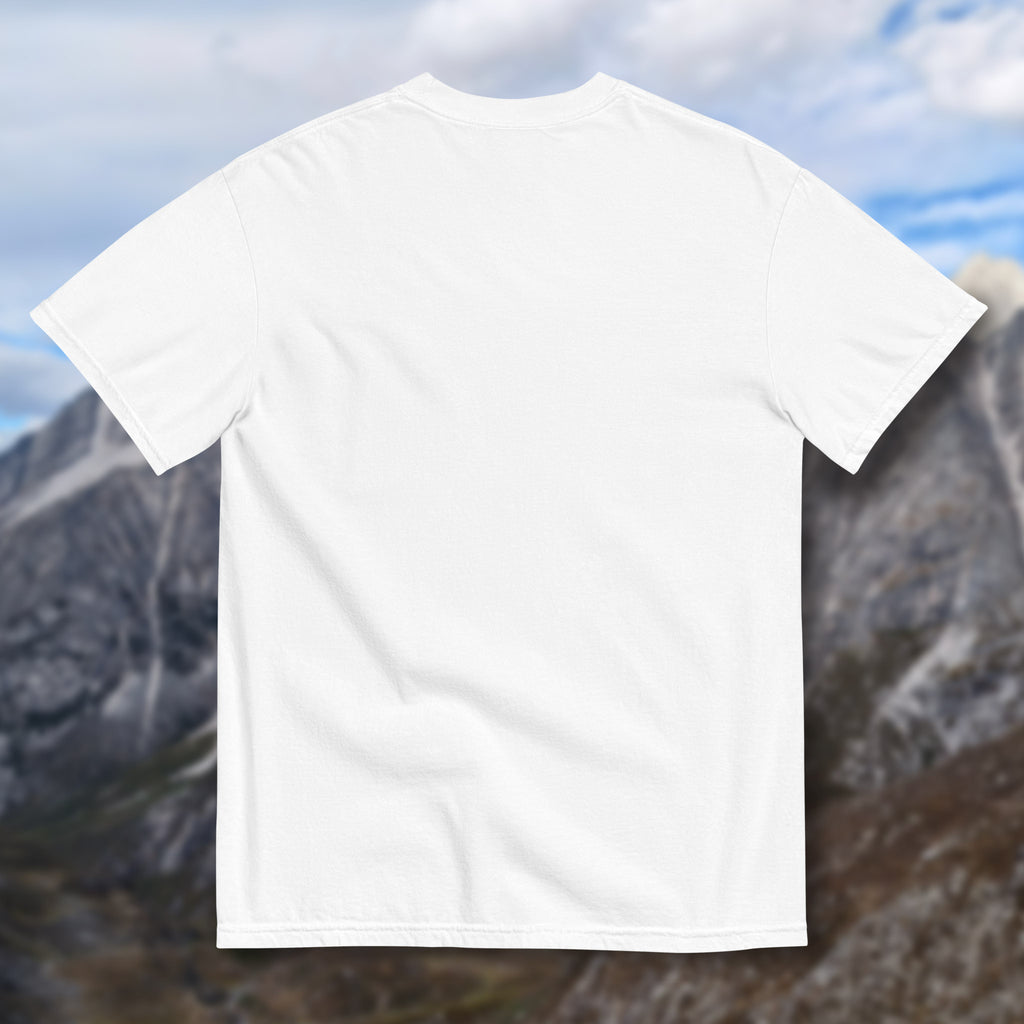 Can I Pet That Smaug? Shirt