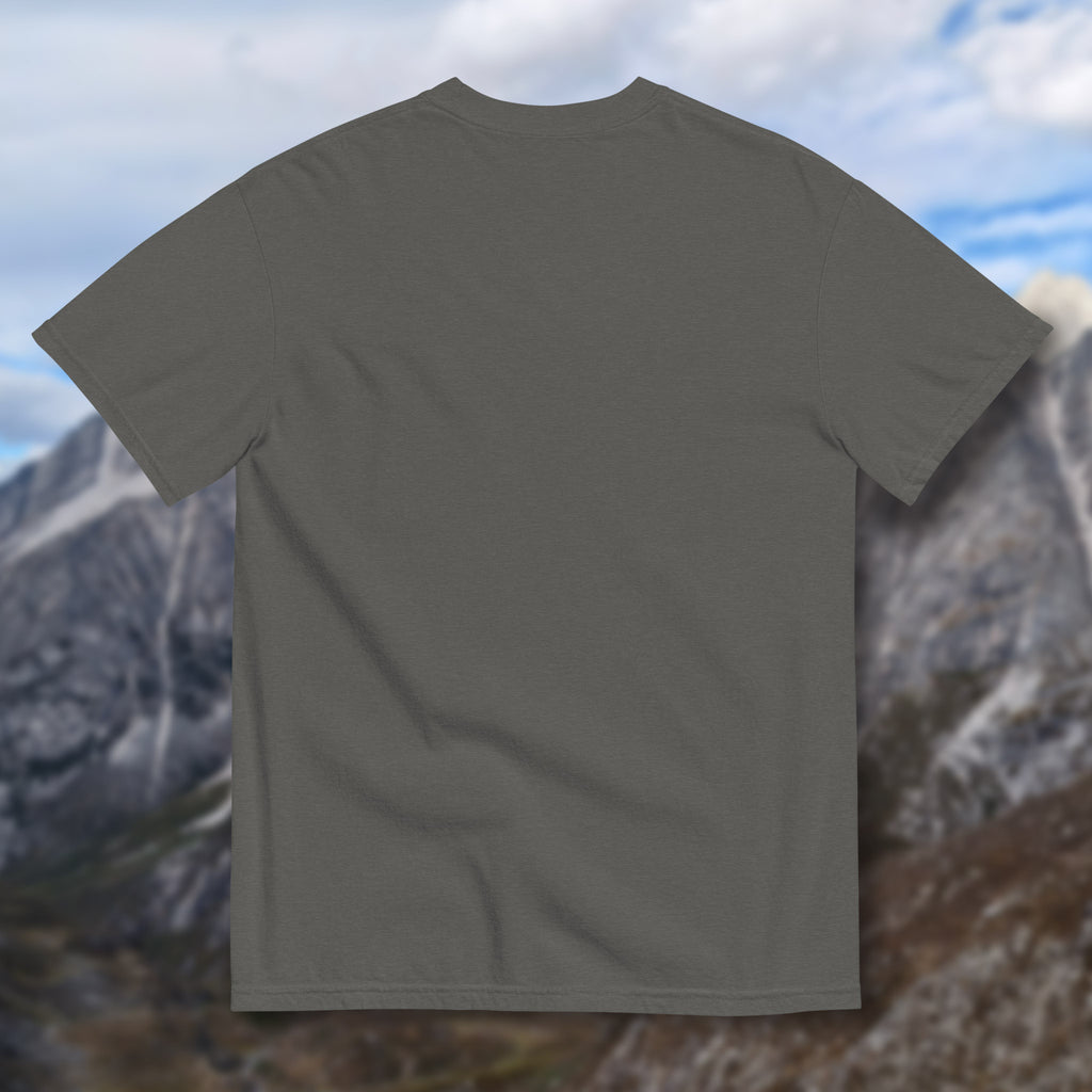 Can I Pet That Smaug? Shirt